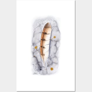 Barn Owl Feather on Watercolour - by Nadya Neklioudova Posters and Art